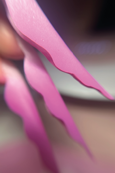 Detalhe de escultura em acrílico rosa com acabamento ondulado